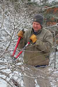 Meister Media orchard pruning 5