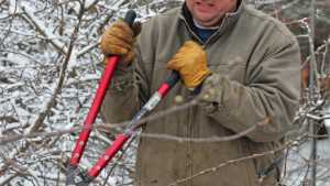 Pruning, Close To Home For American Fruit Grower [Slideshow]