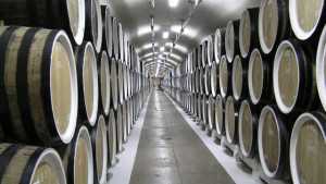 Texas Wines Must Be Made Mostly From Texas Grapes