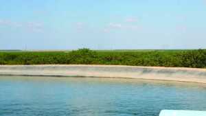 Farm Bureau Urges Senate To Ditch Proposed Water Rule