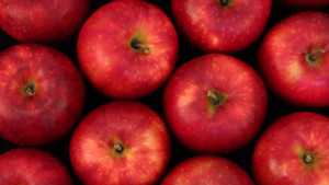 New Washington State University Apple Named Cosmic Crisp