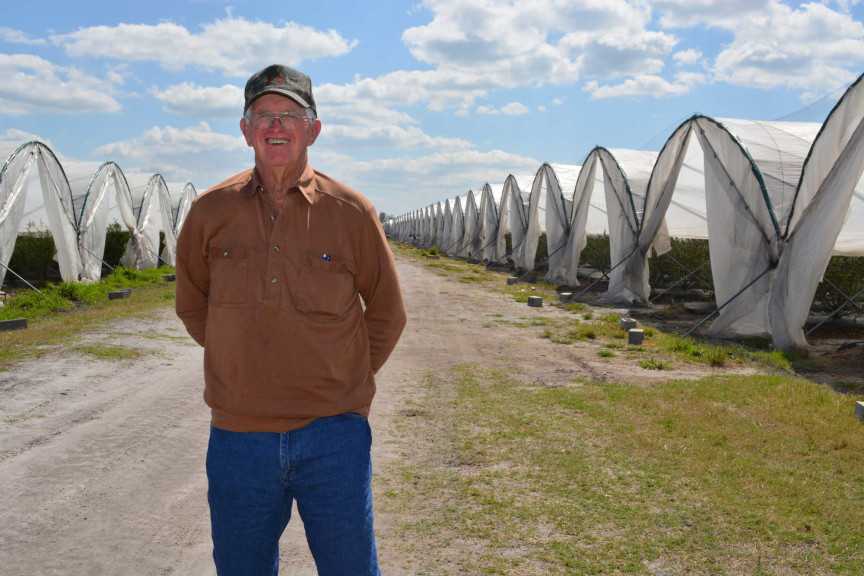 Alto Straughn Blueberry High Tunnels