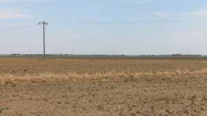 The Impact Of Drought On Vegetable Production