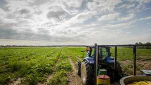 2012 Census Of Agriculture Reveals Record Sales Moderated By Rising Expenses