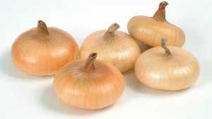 Great Onion Varieties For 2014 [Slideshow]