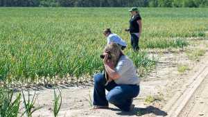 Field Tour Highlights How Vidalia Onions Go From Farm To Fork