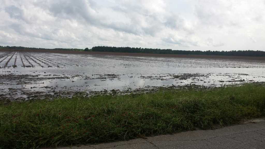 Weather Woes In The Panhandle