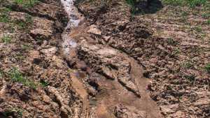 New Study Uncovers Precise Estimates Of Geochemical Variability In Soil