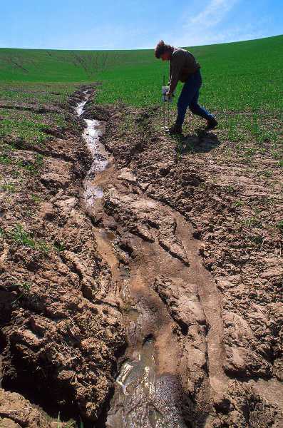 New Study Uncovers Precise Estimates Of Geochemical Variability In Soil