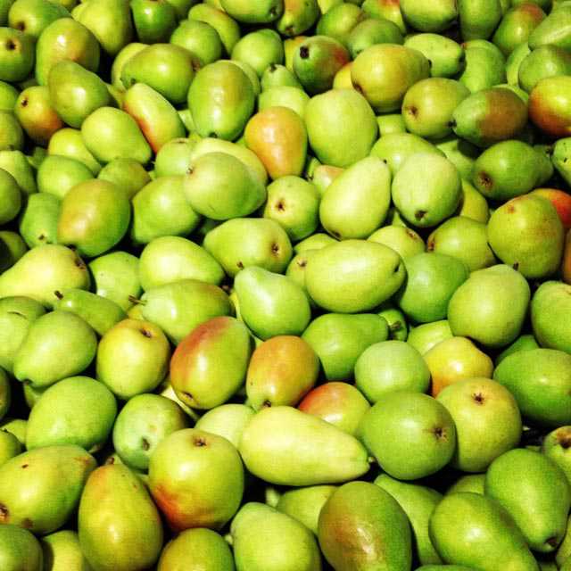 2015 Fresh Pear Crop Estimate Released