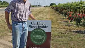Lodi Growers Create A High Standard For Sustainability And Better Market For Their Grapes