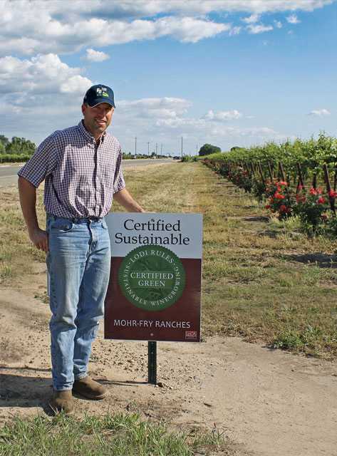 Lodi Growers Create A High Standard For Sustainability And Better Market For Their Grapes