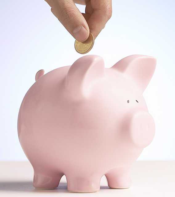 How To Save Money In Your Garden