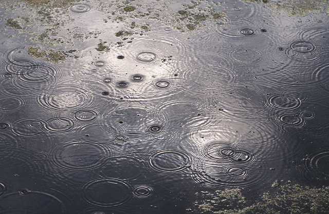 National Farmers Union Submits Comments On Clean Water Act