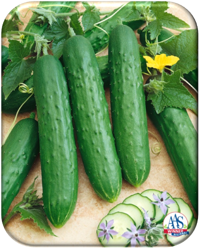 Saladmore