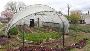 High Tunnels Offer Real Competitive Advantages For Your Crop [Opinion]