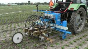 High-Tech Weeders Have Potential For Vegetable Growers