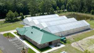 Citrus Germplasm Program Gains Ground