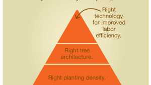How To Work Smarter, Not Harder In The Orchard