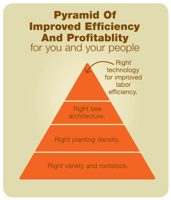 How To Work Smarter, Not Harder In The Orchard