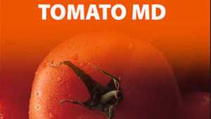 New ‘Tomato MD’ App On Call For Sick Crops