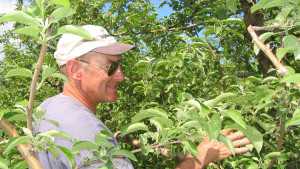 Jeff Crist: 2007 Apple Grower Of The Year