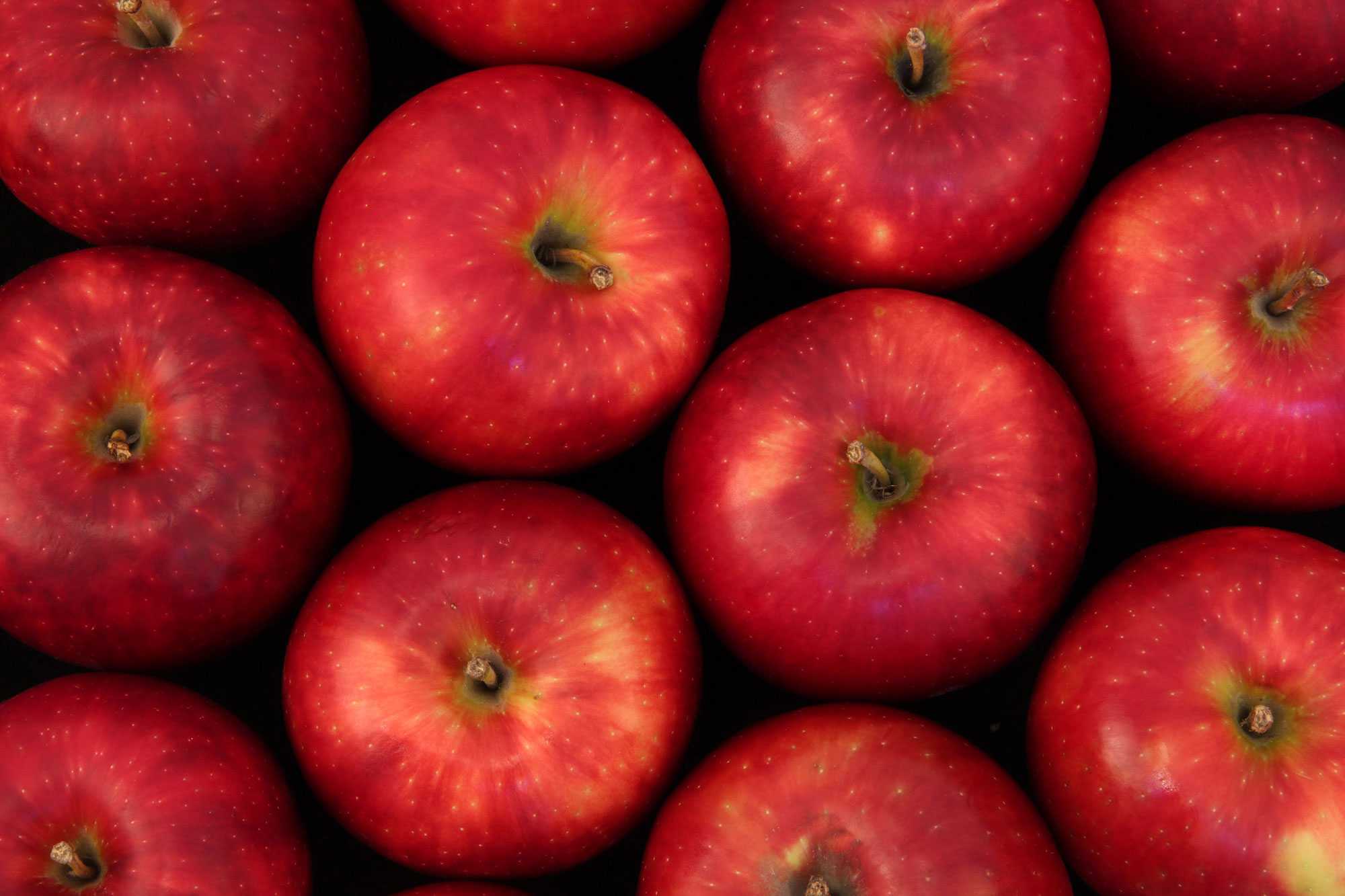 Washington Apple Gets Name – Finally