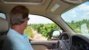 Florida Citrus Growers Sound Off On State Of The Industry