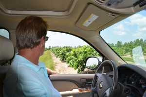 In The Driver's Seat