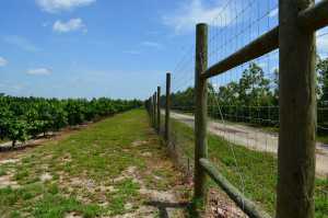 Keeping Out Critters