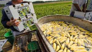 9 Traceability Tools To Keep You Compliant