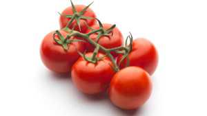 Florida Fruit & Vegetable Association Announce Personnel Changes