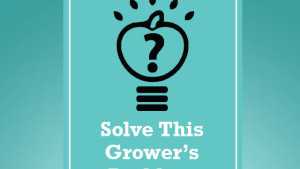 Solve This Grower’s U-Pick Problem