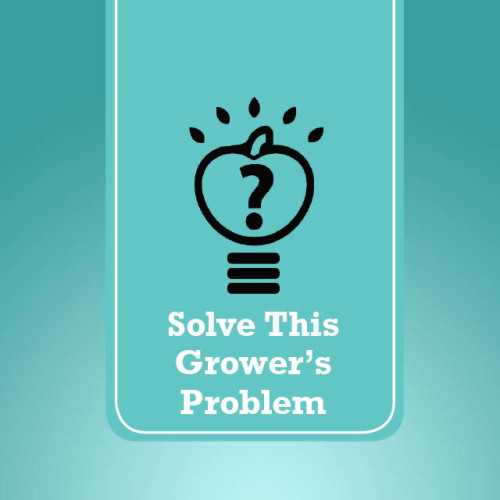 Solve This Grower’s New Planting Problem - Growing Produce