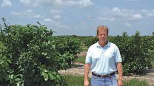 Florida Grapefruit Grower Goes All In To Save Groves