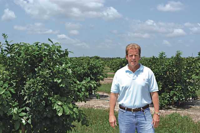 Florida Grapefruit Grower Goes All In To Save Groves