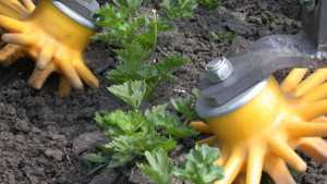 National Scientific Summit On Herbicide Resistant Weeds Coming In September