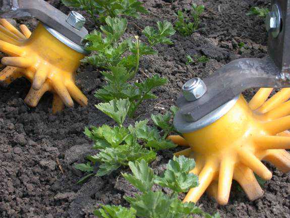 National Scientific Summit On Herbicide Resistant Weeds Coming In September