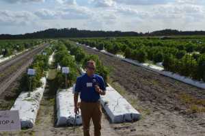 Nathan Boyd: Knocking Nutsedge Down In Vegetables
