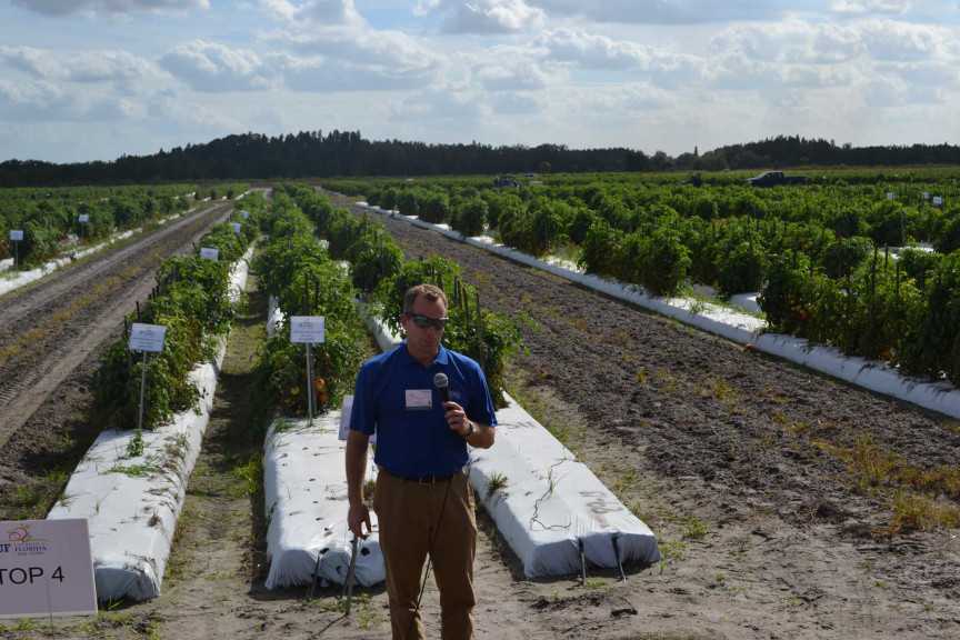 Nathan Boyd: Knocking Nutsedge Down In Vegetables