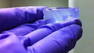 Super-Absorbent Gel Could Help Farmers Save Water