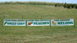 How You Can Increase Farm Market Sales [Opinion]