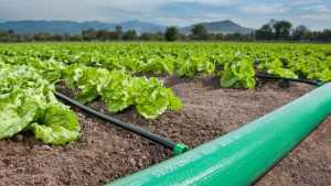 Manifolds, Hose & Tubing [sponsor content]
