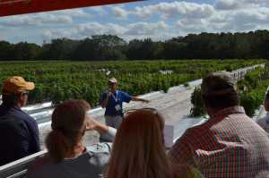 Hugh Smith: Whitefly And TYLCV Management