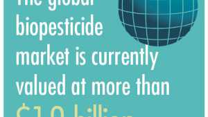 The Exponential Rise Of Biopesticides