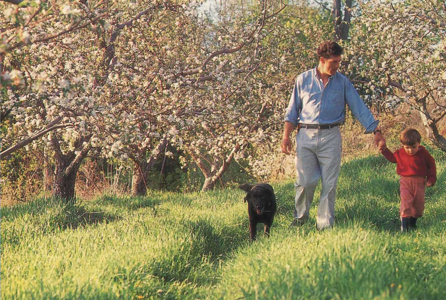 Steve Wood, Apple Grower of the Year