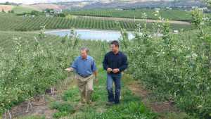 Bill Zirkle Is Apple Grower Of The Year