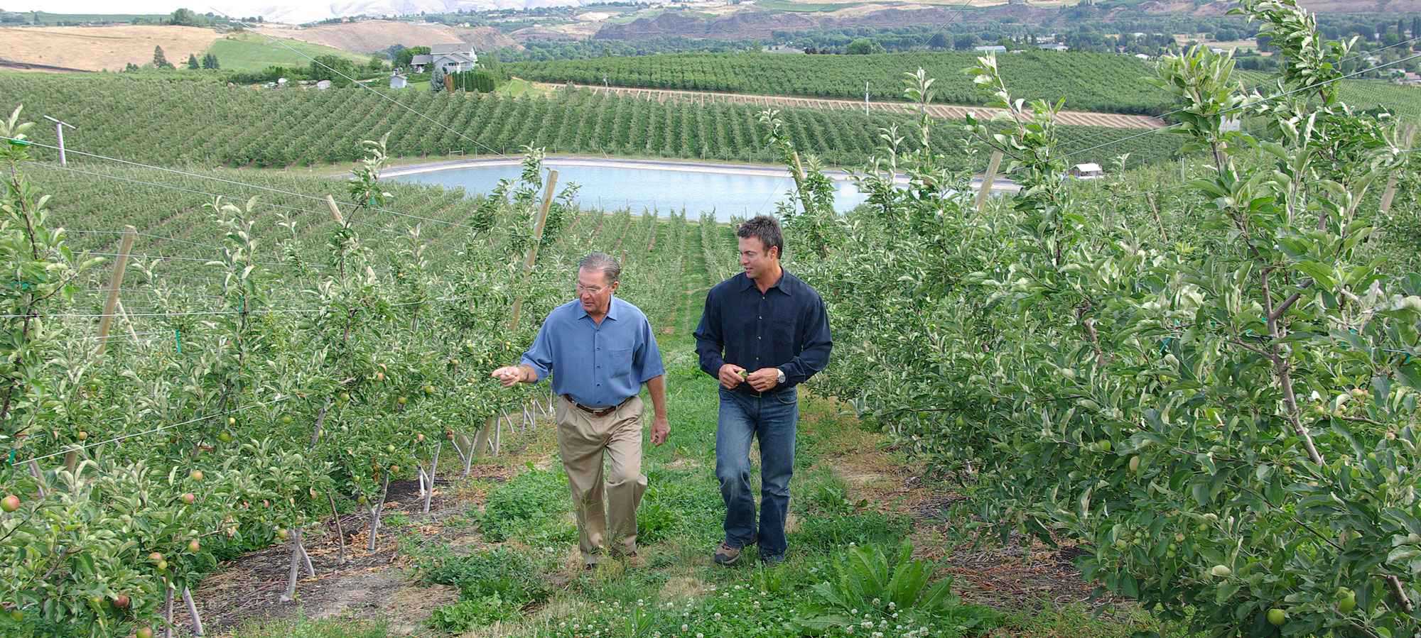 Bill Zirkle Is Apple Grower Of The Year