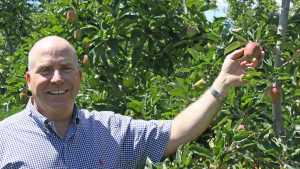 Mike Taylor: A Deserving Apple Grower Of The Year