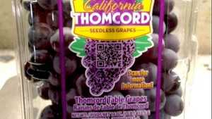 Farmers Fresh Fruit Company Integrates QR Code Into Clamshell